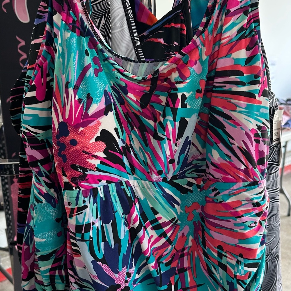BRAND NEW without tags Plus Size Swim Dress